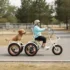 Simple Glide Fat Tire 750W liggende el-trike 2026 med fotstøtte og tilhengerfeste - Bilde 2